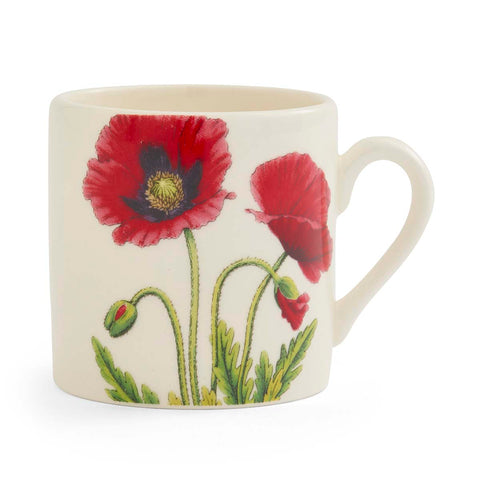 NEW - Portmeirion - Bloom Garden - Espresso Cup - 6 Designs