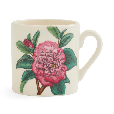NEW - Portmeirion - Bloom Garden - Espresso Cup - 6 Designs