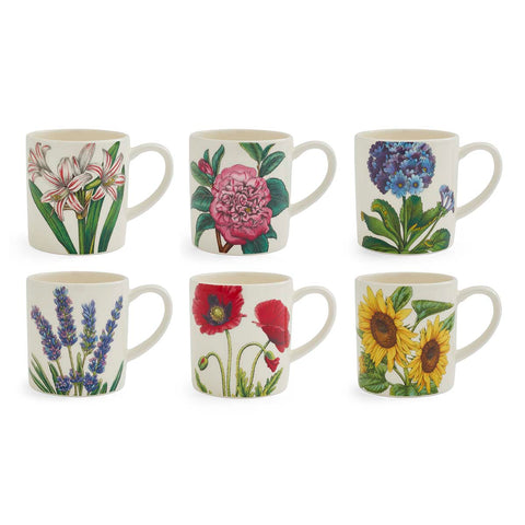 Portmeirion - Bloom Garden - Coffee Mug - 6 Designs