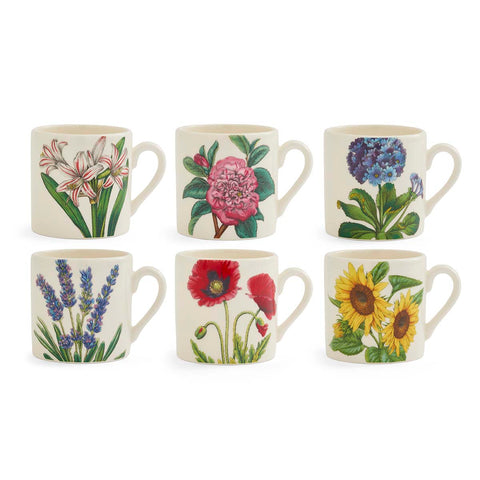 NEW - Portmeirion - Bloom Garden - Espresso Cup - 6 Designs
