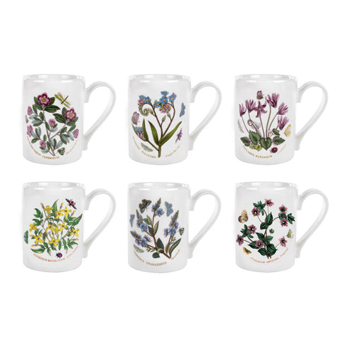 Botanic Garden - Set of 6 Coffee Mugs - 280ml