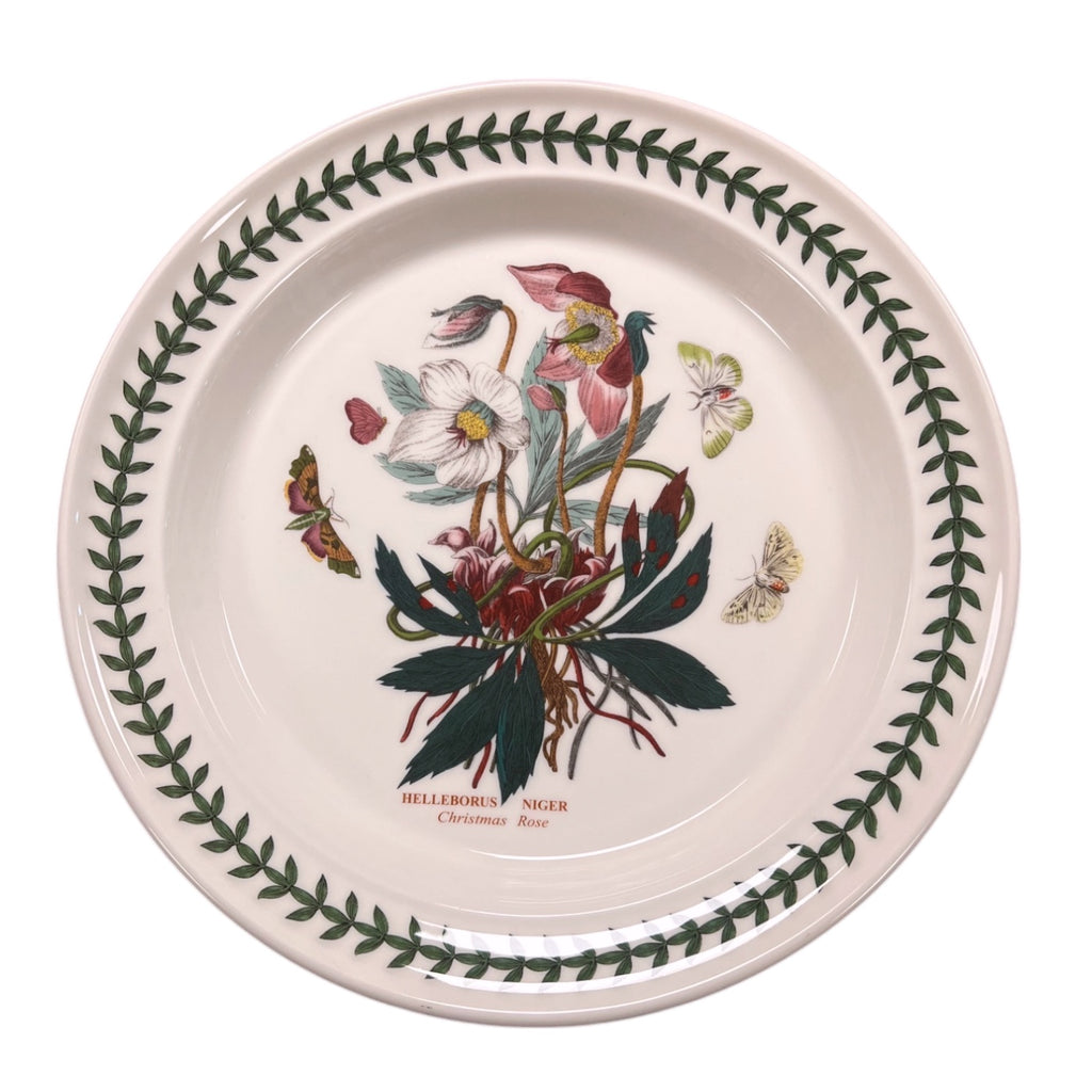 Botanic Garden - Dinner Plate - 26.5cm / 10.5" - Christmas Rose