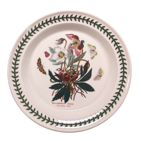 Botanic Garden - Dinner Plate - 26.5cm / 10.5" - Christmas Rose