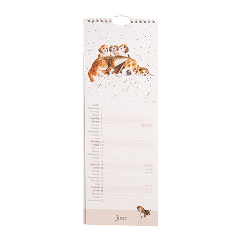 NEW - Wrendale - A Dog's Life - Slim Calendar - 2027