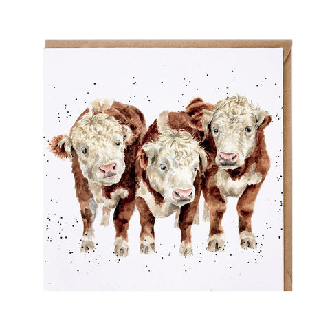NEW - Wrendale - Greeting Cards - The Country Set - Collection Three