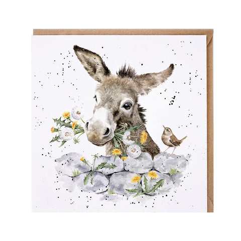 NEW - Wrendale - Greeting Cards - The Country Set - Collection Three