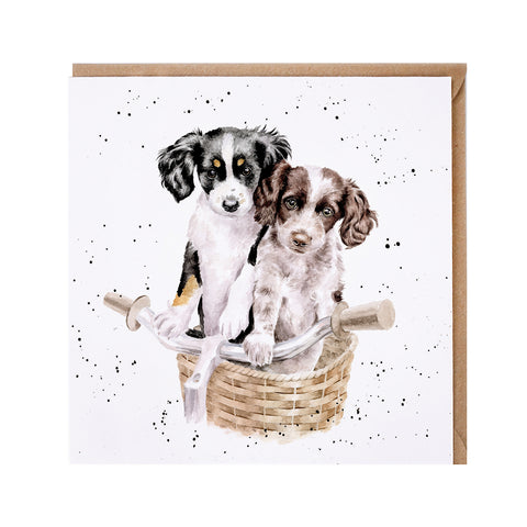 NEW - Wrendale - Greeting Cards - The Country Set - Collection Three