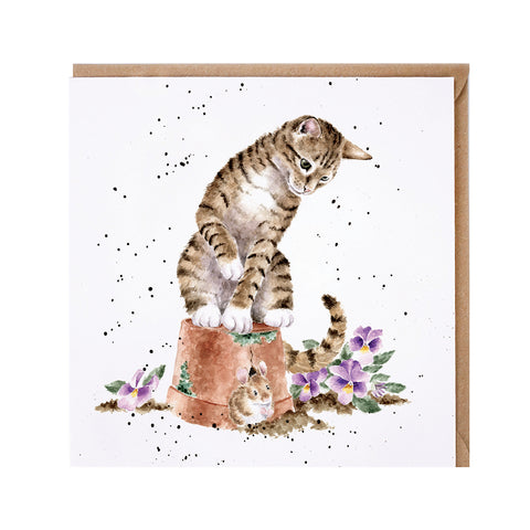 NEW - Wrendale - Greeting Cards - The Country Set - Collection Three