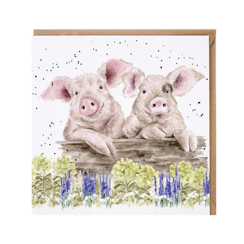 NEW - Wrendale - Greeting Cards - The Country Set - Collection Three