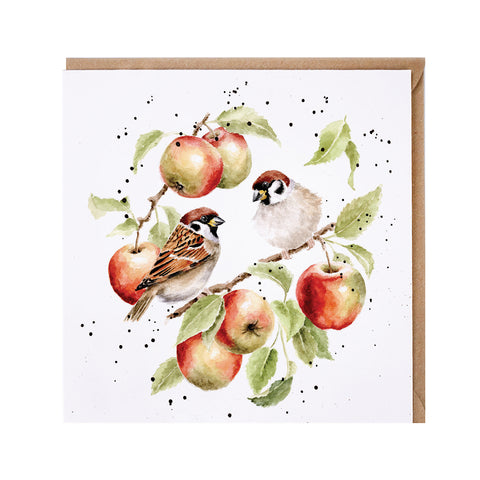 NEW - Wrendale - Greeting Cards - The Country Set - Collection Three