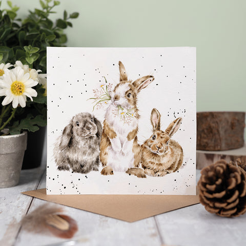 NEW - Wrendale - Greeting Cards - The Country Set - Collection Three