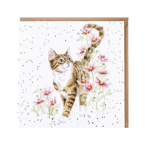 NEW - Wrendale - Greeting Cards - The Country Set - Collection 3
