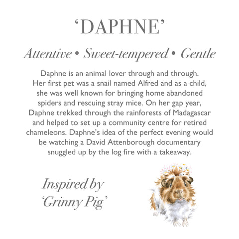 Wrendale - Plush Character Collection - Daphne Guinea Pig