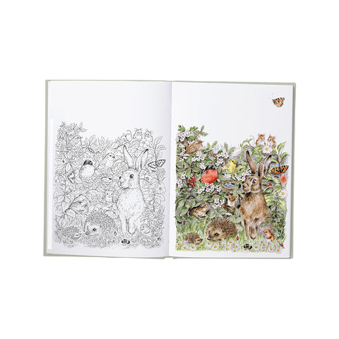NEW - Wrendale - Creativity & Colouring Journal