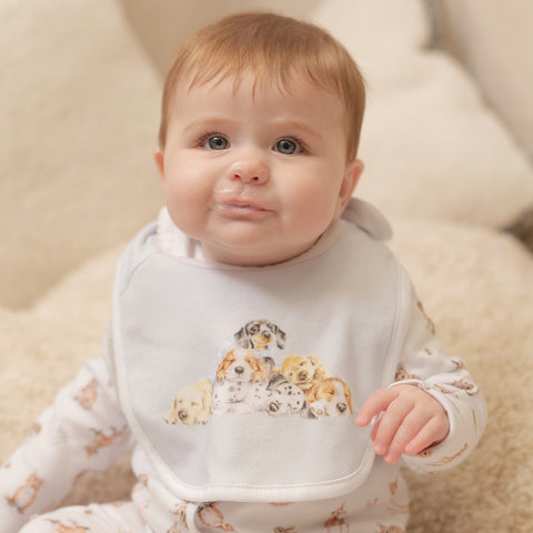 NEW - Wrendale - Little Wren Baby Collection - Bib Gift Set - 3 Designs