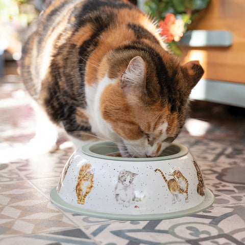 NEW - Wrendale - Metal Cat Bowl