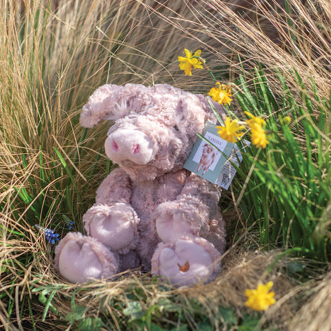 Wrendale - Plush Character Collection  - Vanessa Pig