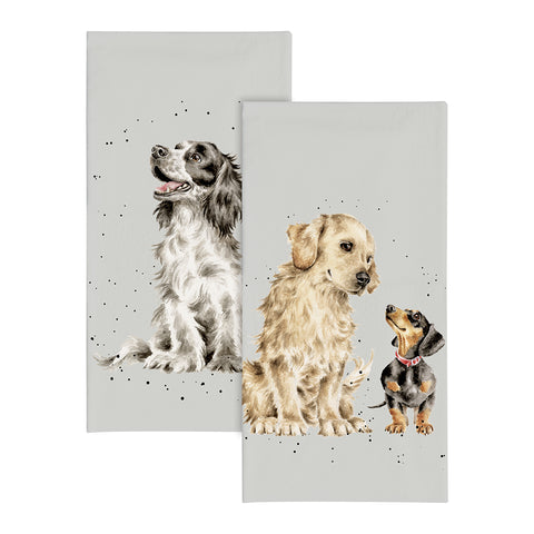 NEW - Wrendale - Pocket Tissues