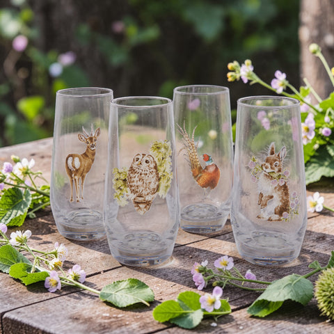 NEW DESIGNS - Wrendale - Box Set of 4 Hi Ball Glasses - Assorted Wildlife