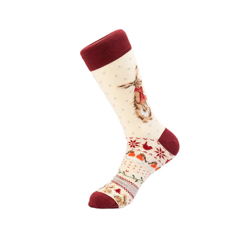 Wrendale - Christmas - Bamboo Socks - Family Bundle - Winter Hare