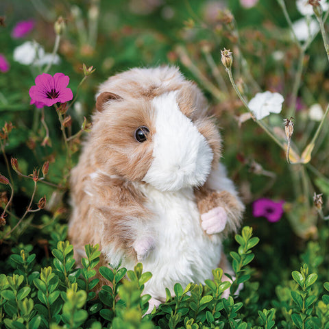 Wrendale - Plush Character Collection - Daphne Guinea Pig
