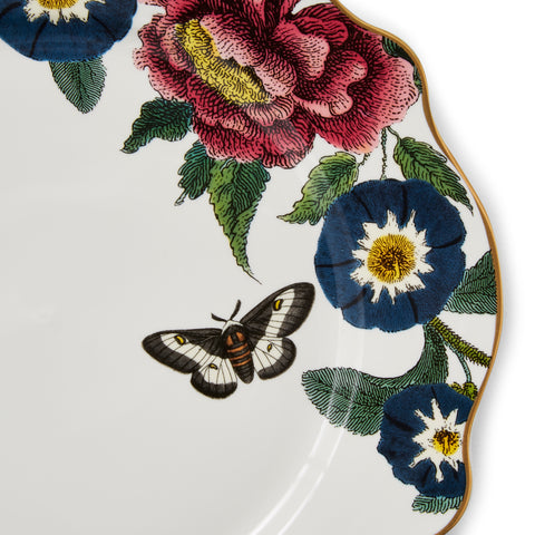 Spode - Creatures of Curiosity - Plate - 27cm - White