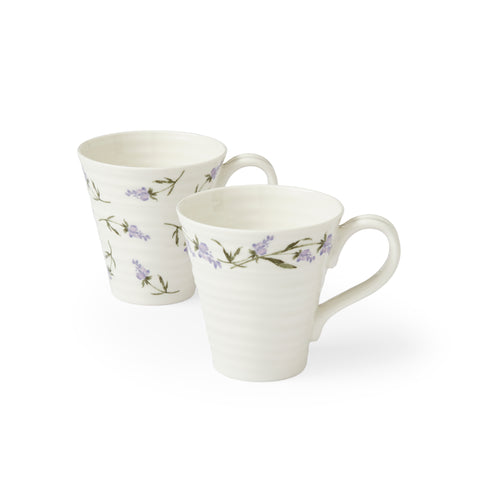 Sophie Conran - Lavendula - Mug - Box Set of 2