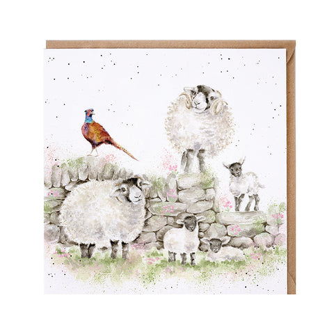 NEW - Wrendale - Greeting Cards - The Country Set - Collection Three