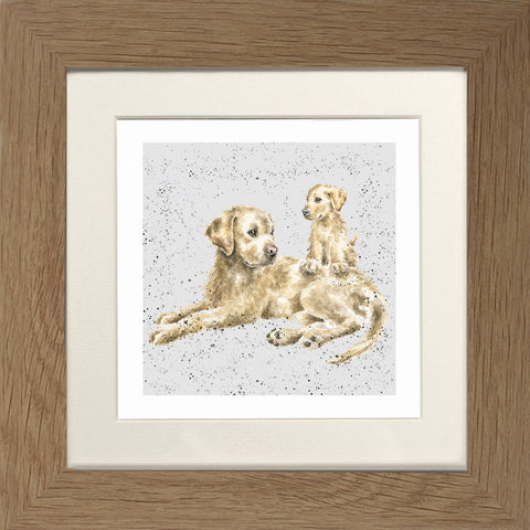 Wrendale - Framed Greeting Cards - A Dog's Life - Collection 1