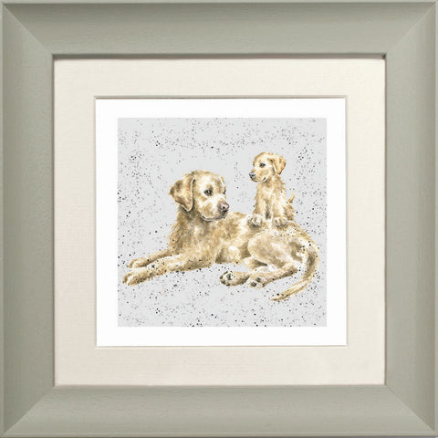 Wrendale - Framed Greeting Cards - A Dog's Life - Collection 1