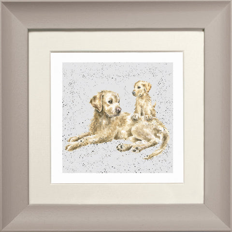 Wrendale - Framed Greeting Cards - A Dog's Life - Collection 1