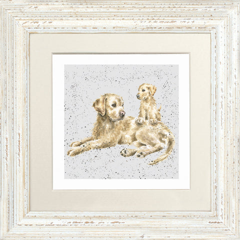 Wrendale - Framed Greeting Cards - A Dog's Life - Collection 1