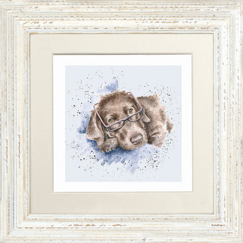 Wrendale - Framed Greeting Cards - A Dog's Life - Collection 1