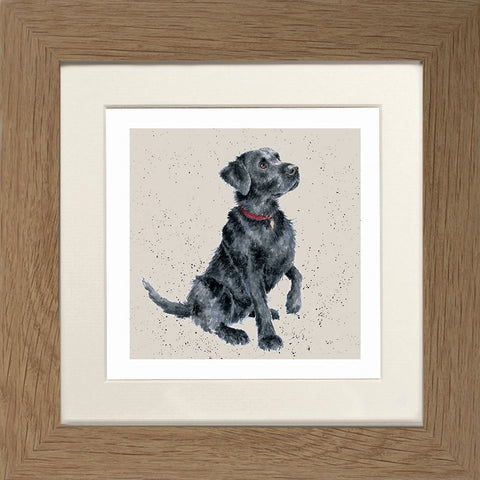 Wrendale - Framed Greeting Cards - A Dog's Life - Collection 1