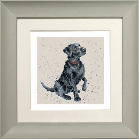 Wrendale - Framed Greeting Cards - A Dog's Life - Collection 1