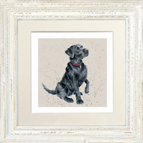 Wrendale - Framed Greeting Cards - A Dog's Life - Collection 1