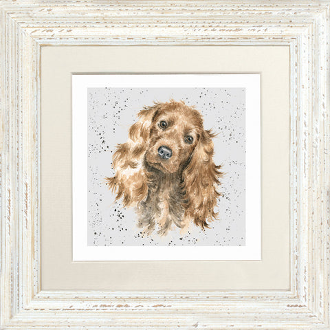 Wrendale - Framed Greeting Cards - A Dog's Life - Collection 1