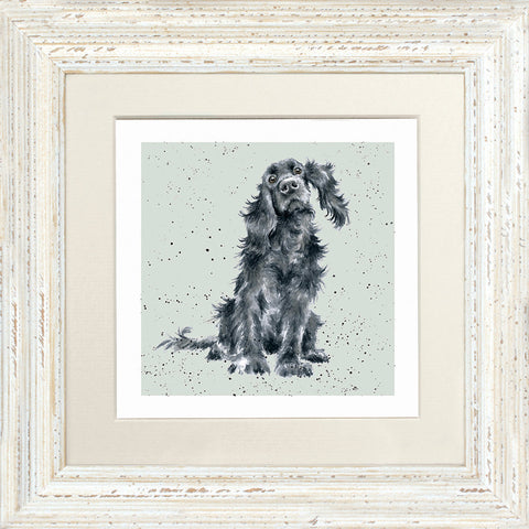 Wrendale - Framed Greeting Cards - A Dog's Life - Collection 1