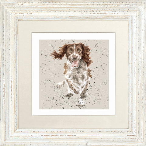 Wrendale - Framed Greeting Cards - A Dog's Life - Collection 1