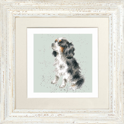 Wrendale - Framed Greeting Cards - A Dog's Life - Collection 1