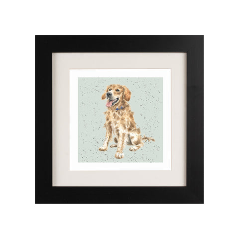 Wrendale - Framed Greeting Cards - A Dog's Life - Collection 1