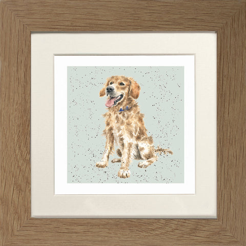 Wrendale - Framed Greeting Cards - A Dog's Life - Collection 1