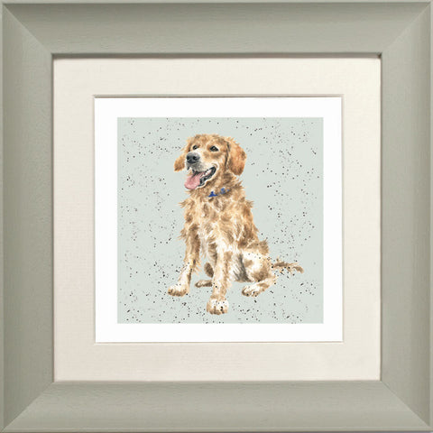 Wrendale - Framed Greeting Cards - A Dog's Life - Collection 1