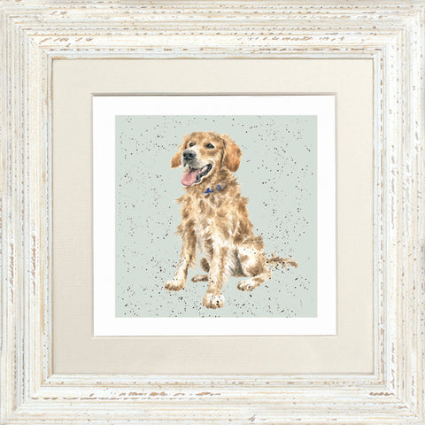 Wrendale - Framed Greeting Cards - A Dog's Life - Collection 1