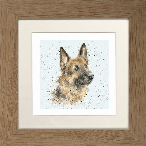 Wrendale - Framed Greeting Cards - A Dog's Life - Collection 1