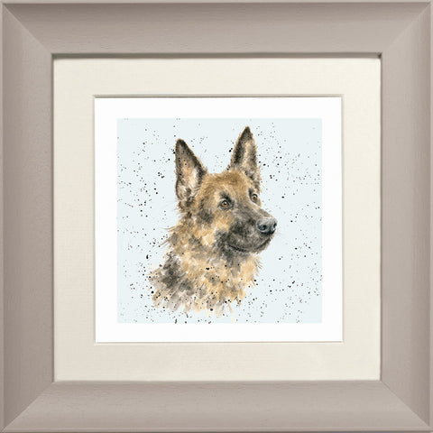 Wrendale - Framed Greeting Cards - A Dog's Life - Collection 1