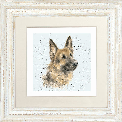 Wrendale - Framed Greeting Cards - A Dog's Life - Collection 1