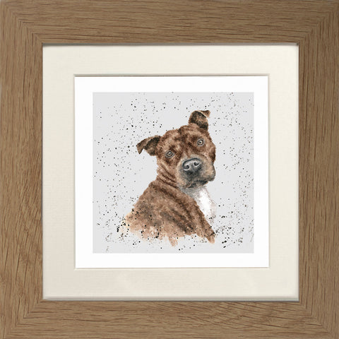 Wrendale - Framed Greeting Cards - A Dog's Life - Collection 1