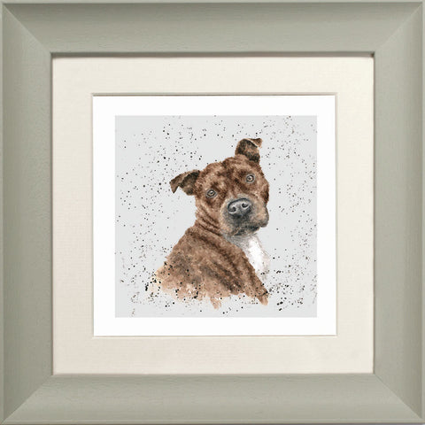 Wrendale - Framed Greeting Cards - A Dog's Life - Collection 1