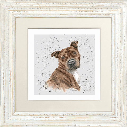 Wrendale - Framed Greeting Cards - A Dog's Life - Collection 1